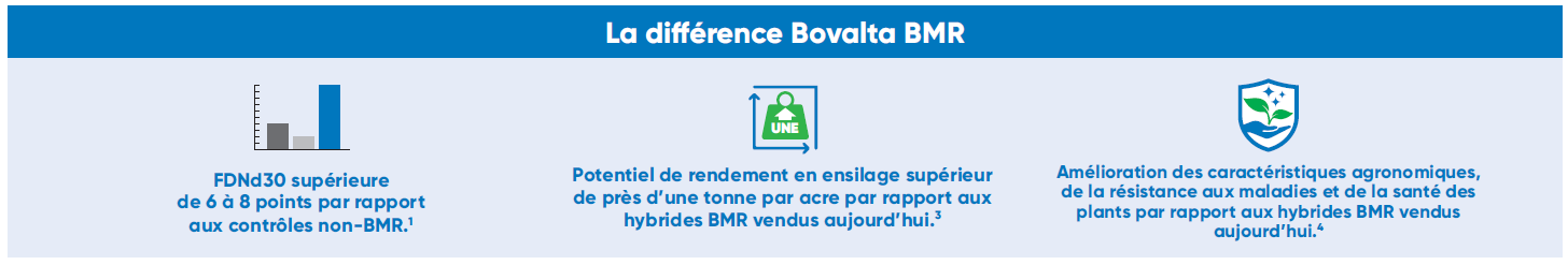 La difference Bovalta BMR