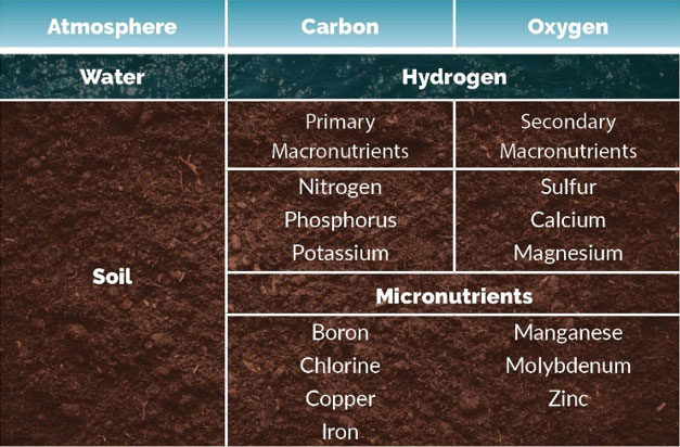 Sources of the sixteen nutrients essential for crop production.