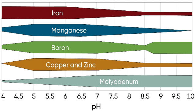 Relative availability of micronutrients by soil pH.